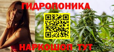 дурь Владимир