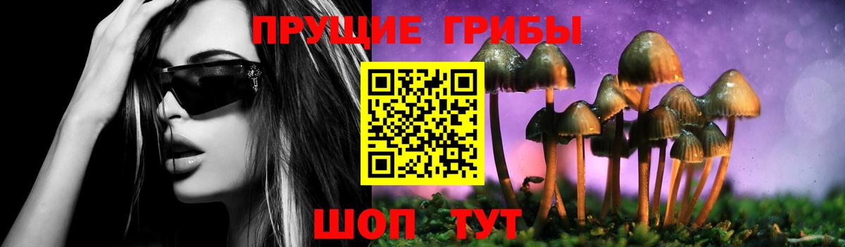 Галлюциногенные грибы GOLDEN TEACHER Сарапул